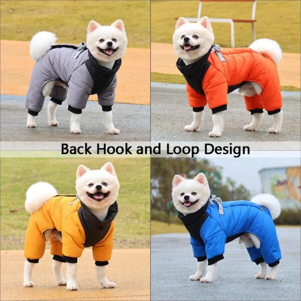 Winter Dog Suit