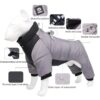 Winter Dog Suit
