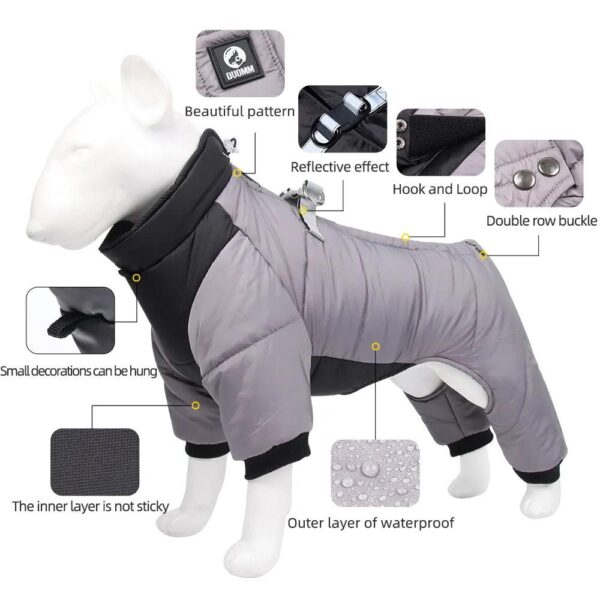 Winter Dog Suit